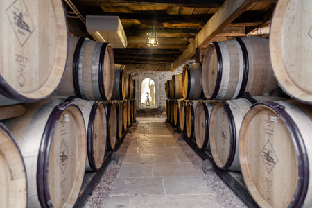 France Burgundy 2019-06-20 Wooden wine oak barrels stacked in winery cellar