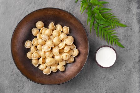 Plate with little dumplings, traditional ukraine and russian dish called  pelmeni made from dough with meat or fish filling and boiled, fresh cream, gray background, nobody, top view, copy spaceの写真素材