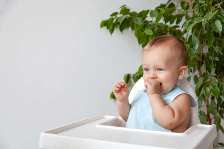 Funny happy blond blue eyed baby in blue bib sits on a high chairの写真素材