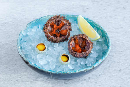 Close-up sea urchins open and ready to eat on ice in plateの写真素材