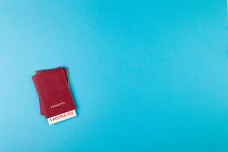 Passports with vaccinated stamp on blank, syringe, bottle with vaccine on blue backgroundの写真素材