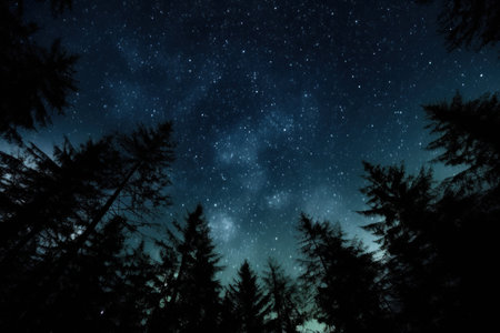 night sky in forest, view of star on night sky through tree brunches. AI Generative.の素材