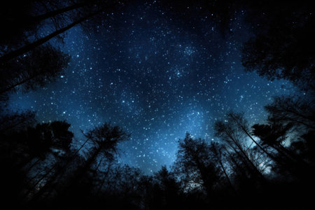night sky in forest, view of star on night sky through tree brunches. AI Generative.の素材
