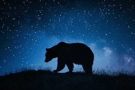 Silhouette of a bear on a background of the night skyの素材
