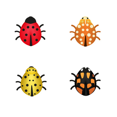 Set of four ladybugs in different colors.のイラスト素材