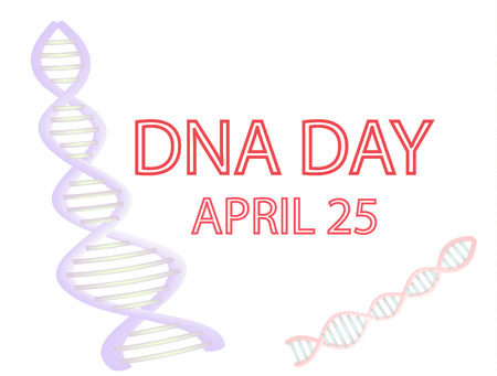 DNA Day. 25th of April. Vector illustration on isolated background.のイラスト素材
