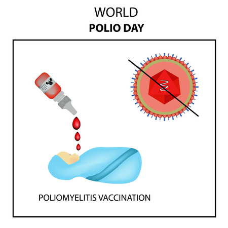Vaccinations against poliomyelitis. World Polio Day. The oral polio vaccine OPV. Drops. Infographics. Vector illustration.のイラスト素材