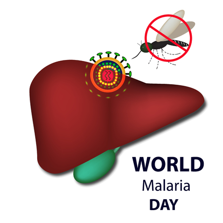 World Malaria Day. Mosquito bans the sign. Liver, malaria virus. Infographics. Vector illustration on isolated backgroundのイラスト素材