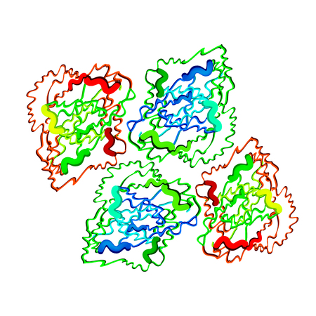 Gastricsin is a molecular chemical formula. Enzyme of the stomach, gastric juice. Infographics. Vector illustration on isolated background.のイラスト素材