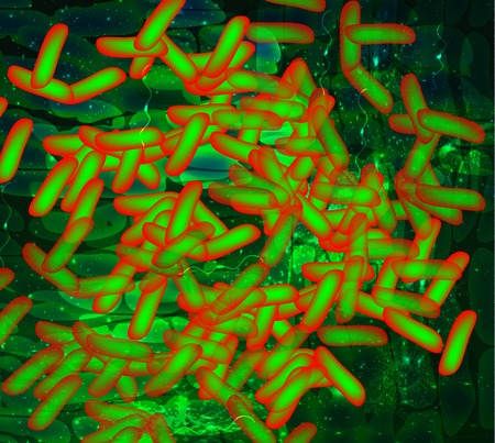 Background green lactobacillus, bifidobacteria, probiotic, prebiotic. Infographics. Vector illustration on isolated background.のイラスト素材