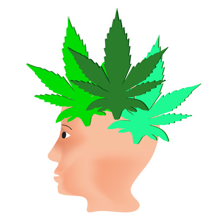 The effect of hemp on humans. Cannabinoid treatment. Properties of marijuana logo. Hair from the leaves of marijuana on the head. Cannabis. Vectorのイラスト素材