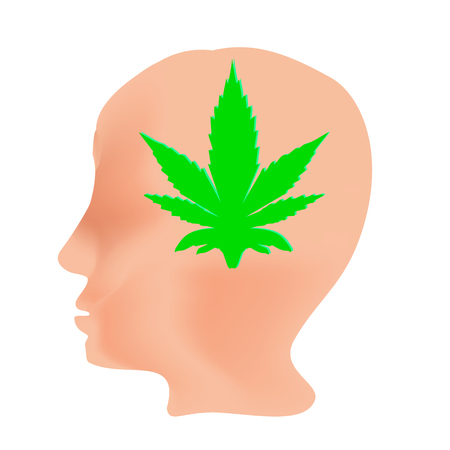 The effect of hemp on humans. Cannabinoid treatment. Properties of marijuana. Leaf and head. Cannabis. Vector illustration on isolated background.のイラスト素材