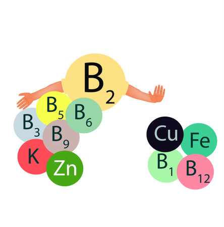 Vitamin B2 compatibility with other vitamins and minerals. Infographics. Vector illustration on isolated background.のイラスト素材