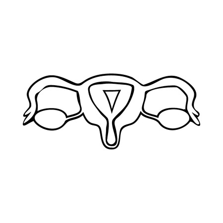 Pelvic organs black silhouette. Gynecology. Sketch. Linear icon. Vector illustrationのイラスト素材