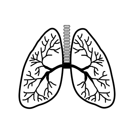 Human lungs black silhouette. Sketch. Linear icon. Vector illustration on isolated backgroundのイラスト素材