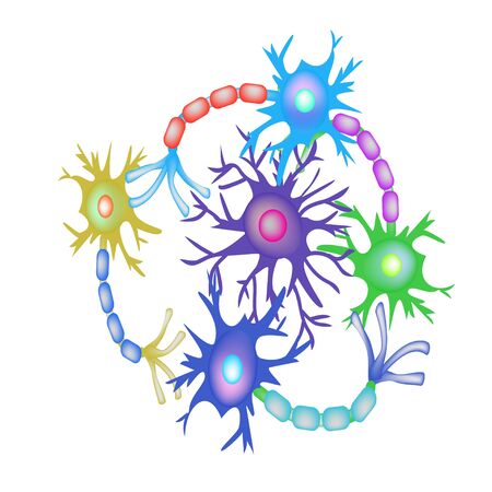 Synapses of neurons. Neural communications background. Synapse communication neuron. Vector illustration on isolated background.のイラスト素材
