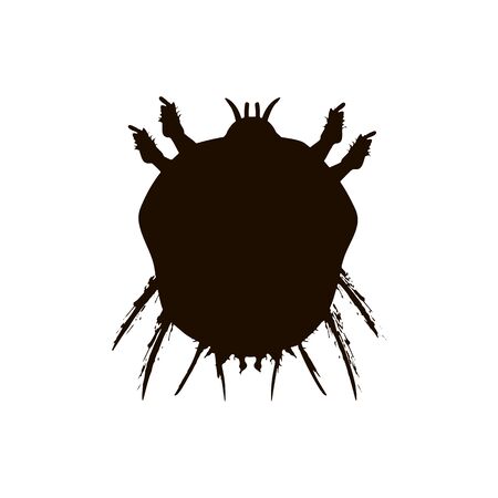Sarcoptes scabiei. scabies. Sexually transmitted disease. Infographics. Vector illustration on isolated backgroundのイラスト素材