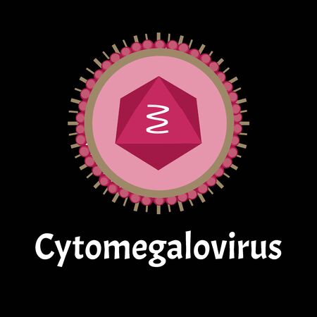 Cytamegalovirus structure. Viral infection cytomegalovirus. Sexually transmitted diseases. Infographics. Vector illustration on isolated background.のイラスト素材