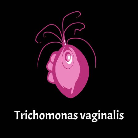 Trichomonas vaginal. Infographics. Vector illustration on isolated background.のイラスト素材