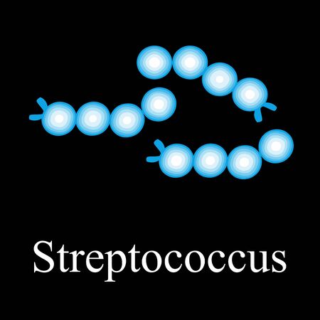 Streptococcus structure. Bacteria streptococcus. Infographics. Vector illustration on isolated backgroundのイラスト素材