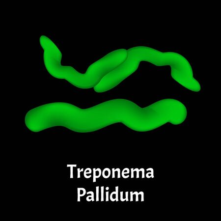 Syphilis. Treponema pallidum, Spirochaetaceae. Bacterial infections. Sexually transmitted diseases. Infographics. illustration on isolated background.のイラスト素材