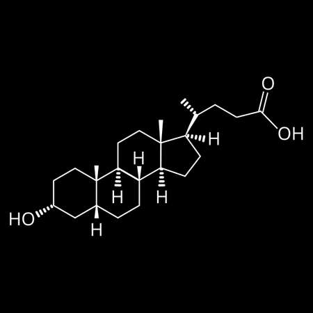 Lithocholic acid. Bile acid. Chemical molecular formula Lithocholic acid. Vector illustration on isolated backgroundのイラスト素材