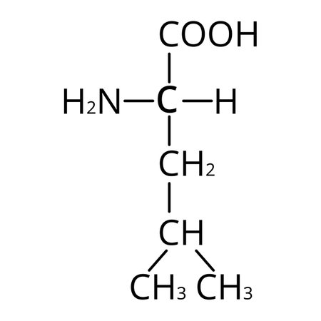 Amino acid Leucine. Chemical molecular formula of amino acid leucine. Vector illustration on isolated backgroundのイラスト素材