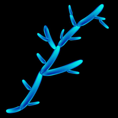 tropicalis candida. Pathogenic yeast-like fungi of the Candida type morphological structure. Vector illustration on isolated backgroundのイラスト素材