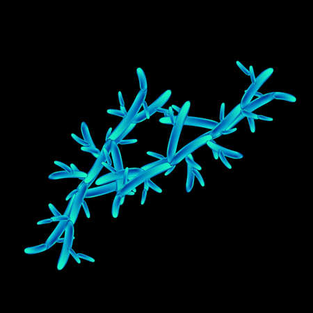 C. pseudotropicalis candida. Pathogenic yeast-like fungi of the Candida type morphological structure. Vector illustrationのイラスト素材