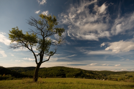 hillsideの写真素材