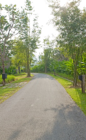 Asphalt winding curve road in natureの写真素材