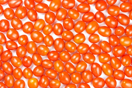 small tomato backgroundの写真素材