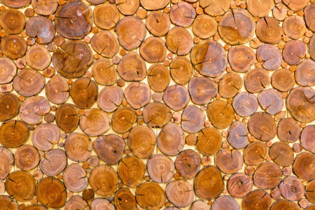 stump wooden wall background in old room