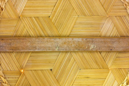 image background of bamboo texture