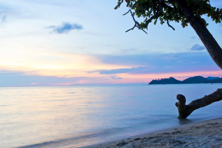 beach near sea water with sunset background