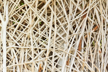 image background of bamboo wooden textureの写真素材