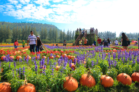 NAKHONRATCHASIMA THAILAND- DECEMBER 14 : people travel in Jim Thompson Farm on DECEMBER 14, 2014 in NAKHONRATCHASIMA THAILAND. The House of the world renowned Jim Thompson Thai Silk.のeditorial素材