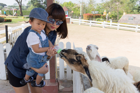 Asian beautiful mother is take care your cute new born baby feeding milk for sheep in the farm, Activities family to enhance the learning experience of children.の写真素材