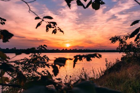 Orange sunsetの写真素材