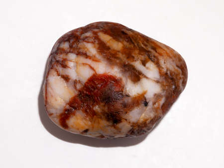 A head of garlic sprouted in a jar on a windowsill gave green young sproutsの写真素材