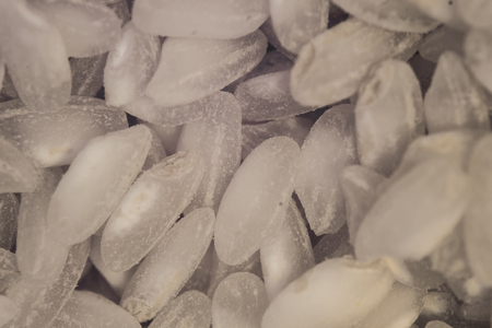 Close up of the rice grainの写真素材