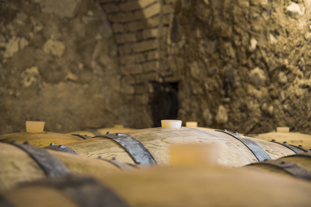 Aging of wine in barrelsの写真素材