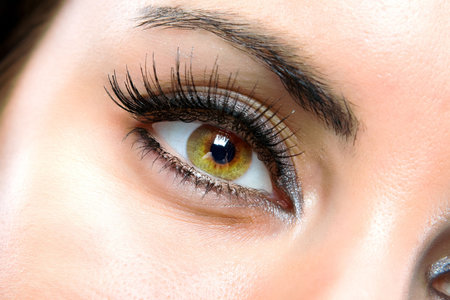 The macro beautiful female eye
