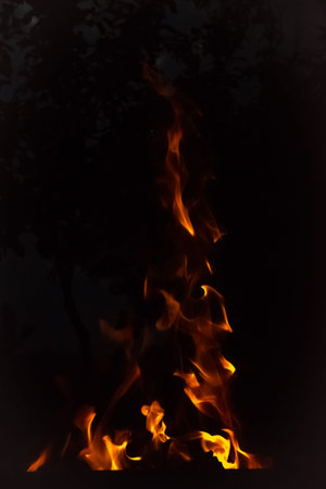 Fire flames bonfire at night on black background