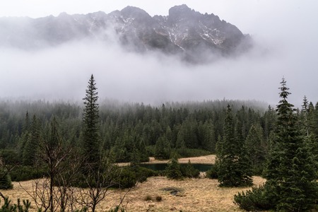 beautiful views of the Tatra Mountains in the mist  autumn dayの写真素材