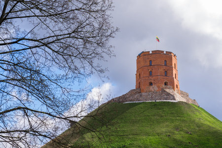 Tower Of Gediminas In Vilnius, Lithuania Europaの写真素材