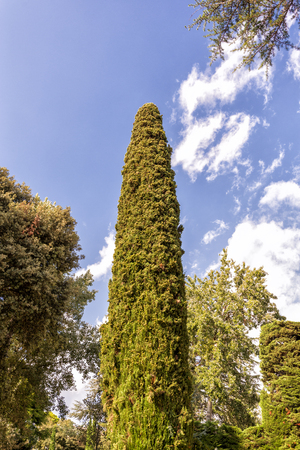 Jardines de Santa Clotilde in Lloret de Mar, Costa Brava, Catalonia, Spain.の写真素材