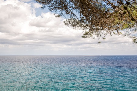 The sea through the green branches of pine. Lloret de Mar, Costa Brava, Catalonia, Spain.の写真素材