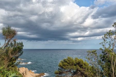 The sea through the green branches of pine. Lloret de Mar, Costa Brava, Catalonia, Spain.の写真素材