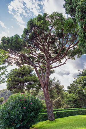 Jardines de Santa Clotilde in Lloret de Mar, Costa Brava, Catalonia, Spain.の写真素材